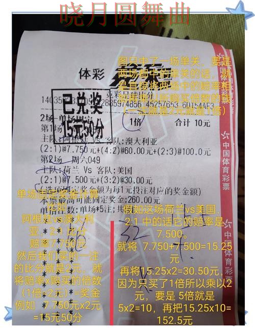 世界杯投注官网哪个好用更适合新手经验分享